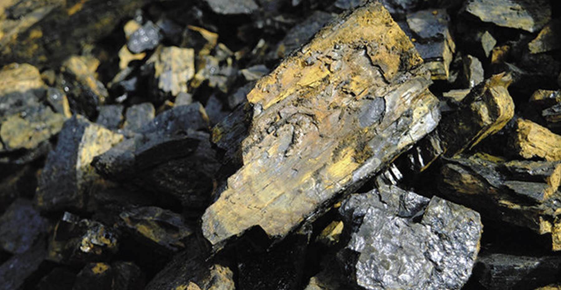 Hard Coal allmineral